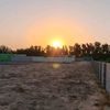 alwahed36