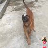 alex_clica