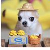thebananabean