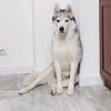 zenia_biagio_atyrau