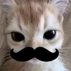 dangquynhchi111