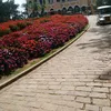 nguyenhoangthao75