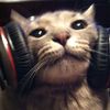 lollip0pzs