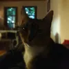 cicmarekk