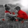 doaa3472