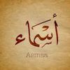 asmaa5066