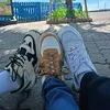 calo1109