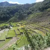 suissadavid