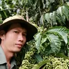 nguyenvanhao041