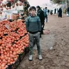 mhamadabdula1234