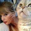..meowsies