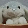 haxgamer199lin