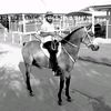 hassan_3377
