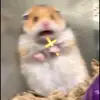 ._.__hhggkk_