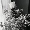 anaksdkls_6