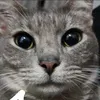 mizz.iz4