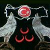 wq_sinan60