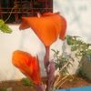 user128026940