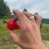 leonid_zub_8888