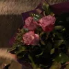 halima.az02
