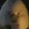 luxzera55