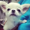 kohakuchannelxxx