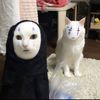 motherofminnow