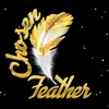 chosenfeather45