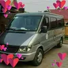 chien.0985689073