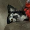 xxtrasaucce