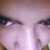 stefan845
