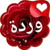 user93810300
