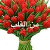 user880705937
