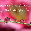shwsha_____xanm