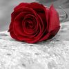 munirah._1