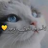 afef210
