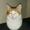 itsphix