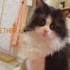 etha_rr