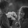 user52023976