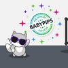 babypipstraders