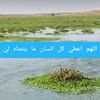 alshhm_