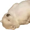 thanhhieu439