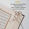 hatice3_433