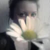wild.kreacije