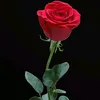 doskeen_doske