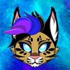 cadencewildcat