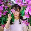 Hoa Bằng Lăng_Phim