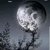 jivubuhhuib77y