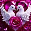 user758578057