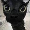 oeunaoaguentomais